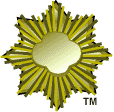 Gold Award